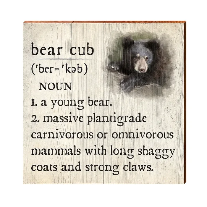 Bear Cub Definition Wooden Sign | Wall Art Print on Real Wood