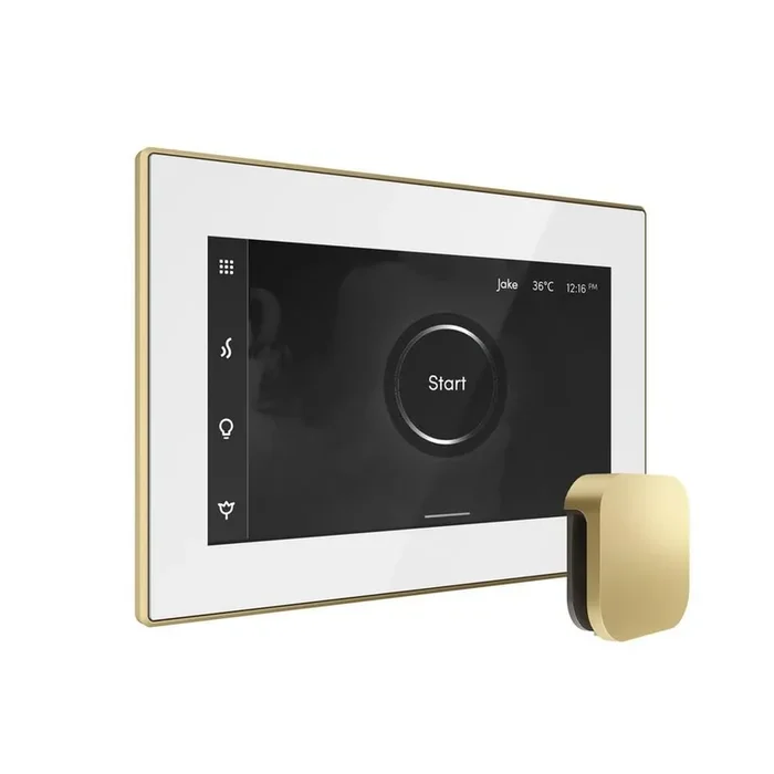 Bliss Steam Shower Control Package with iSteamX Control and Steamhead in White Satin Brass