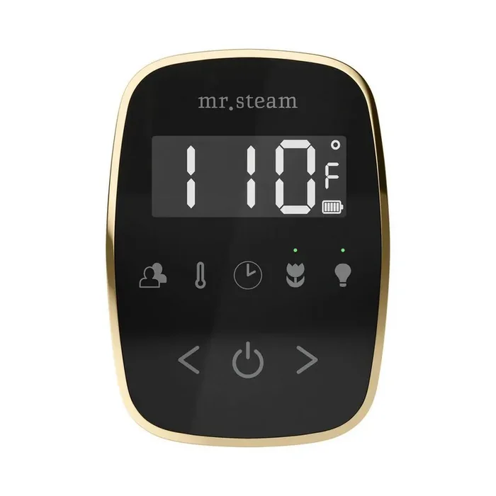 ButlerFlex Max Steam Shower Control Package with TempoFlex Control and Steamhead in Black Satin Brass