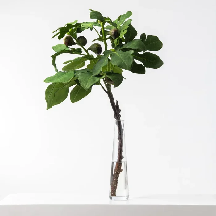 Green Fiddle Leaf Fig Branch Tall Everyday All Season Water Illusion Arrangement in Glass Cylinder Vase
