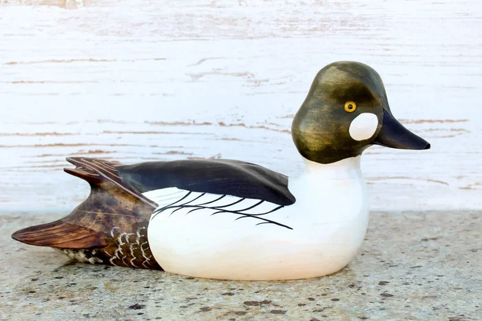 Hand Carved Goldeneye Duck Drake Premier Full Size Wooden Decorative Decoy