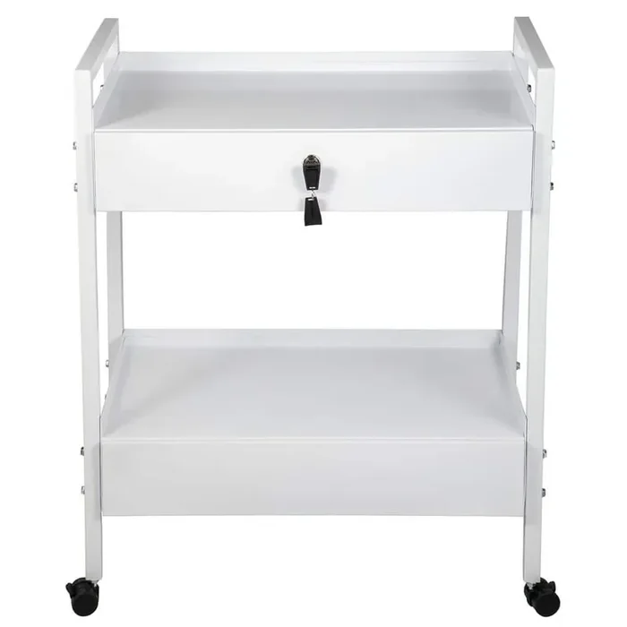 Lab Cart, White Steel Kitchen Cart with Medical Cart with 2-Drawers, Rolling Lab Cart White Paint, Serving Cart