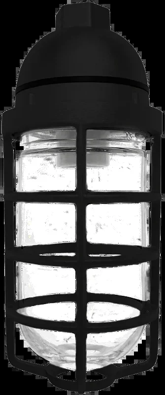 RAB Vaporproof 100 Pendant 3/4 Inch Black Glass Globe Cast Guard (VP100DGB-3/4)