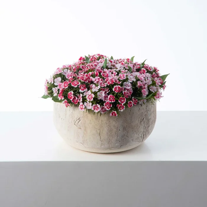 Real Touch White & Pink Mini Dianthus Wild Flowers in Natural Wood Bowl Faux Flower Spring Summer Centerpiece Arrangement