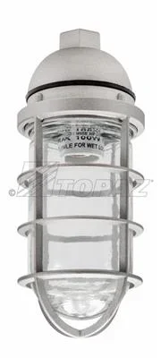 Southwire TOPAZ Vaporproof Pendant Mount 3/4 Inch With Cage (VFP100W75CG)